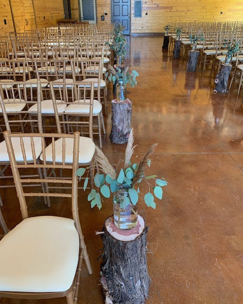 Tree Stumps Down The Isle