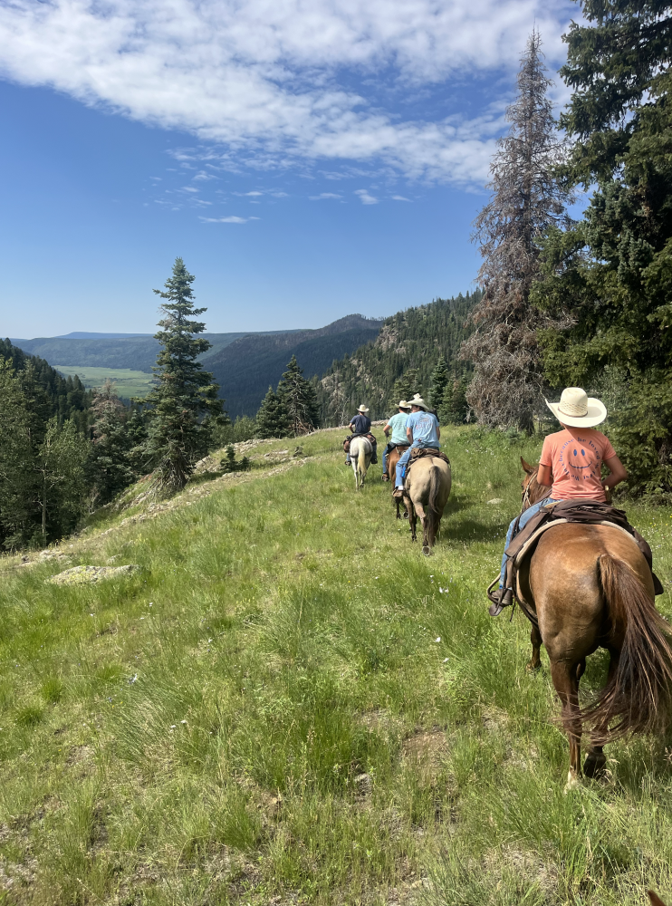 Trail ride in Colorado